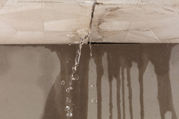 Professional Flood Damage Cleanup technician working in Northport, AL